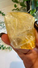 Load image into Gallery viewer, Golden Healer Freeform from Brazil
