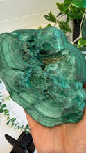 Load image into Gallery viewer, Natural Malachite with Part Polished Front on Custom Black Stand
