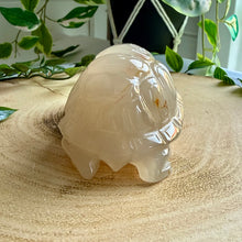 Load image into Gallery viewer, Druzy Agate Tortoise Carving|Hand Carved
