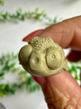 Load image into Gallery viewer, Alashan Agate Fish Carvings
