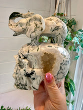 Load image into Gallery viewer, Tree Agate Skull with Elephant|Hand Carved|Statement Decor
