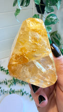 Load image into Gallery viewer, Golden Healer Freeform from Brazil
