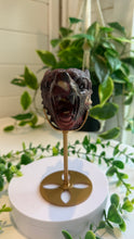 Load image into Gallery viewer, Mookaite Jasper Wolf Head with custom stand|Hand Carved
