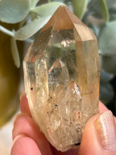 Load image into Gallery viewer, Kundalini Citrine - Congo
