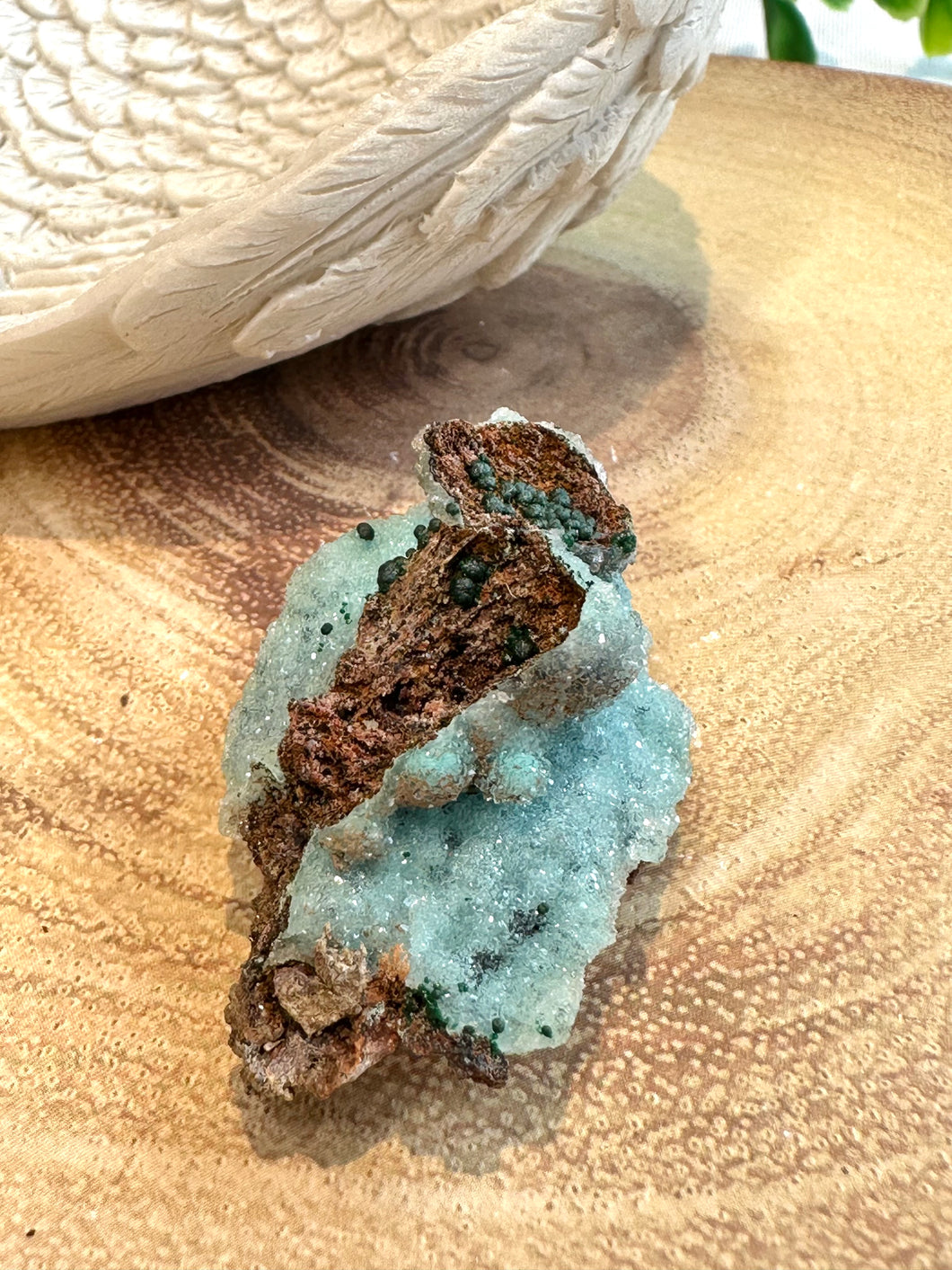 Rare Druzy Chrysocolla