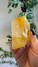 Load image into Gallery viewer, Golden Healer Freeform from Brazil
