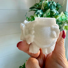 Load image into Gallery viewer, Sparkly White Jade Marble Dragon Turtle Sphere Holders
