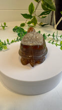 Load image into Gallery viewer, Druzy Agate Tortoise
