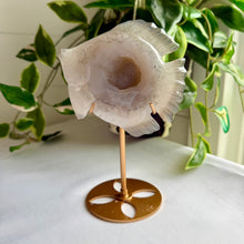 Load image into Gallery viewer, Druzy Agate Fish on Custom Gold Stand
