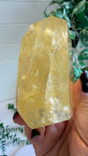 Load image into Gallery viewer, Golden Healer Freeform from Brazil
