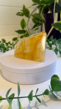 Load image into Gallery viewer, Golden Healer Freeform from Brazil
