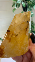 Load image into Gallery viewer, Golden Healer Freeform from Brazil
