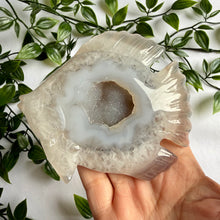 Load image into Gallery viewer, Druzy Agate Fish on Custom Gold Stand

