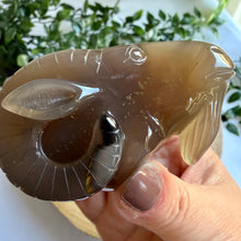 Load image into Gallery viewer, Druzy Agate Goat Head Carving
