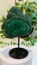 Load image into Gallery viewer, Natural Malachite with Part Polished Front on Custom Black Stand
