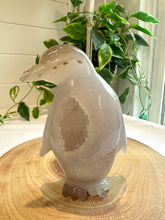 Load image into Gallery viewer, Druzy Agate Penguin Carving -Alaska
