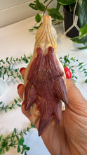 Load image into Gallery viewer, Mookaite Jasper Wolf Head with custom stand|Hand Carved
