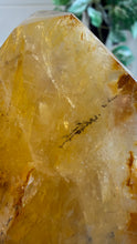Load image into Gallery viewer, Golden Healer Freeform from Brazil
