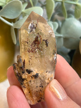 Load image into Gallery viewer, Kundalini Citrine|Raw Crystal|Consciously Sourced|Crystal Cluster
