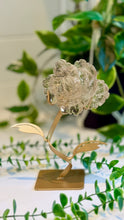 Load image into Gallery viewer, Smokey Quartz Rose Carving on Custom Stand|Home Decor
