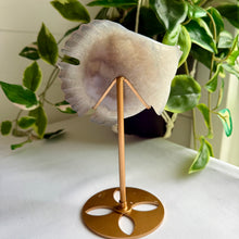 Load image into Gallery viewer, Druzy Agate Fish on Custom Gold Stand
