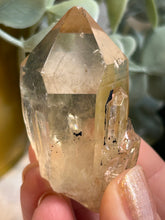 Load image into Gallery viewer, Kundalini Citrine|Raw Crystal|Consciously Sourced|Crystal Cluster
