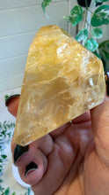 Load image into Gallery viewer, Golden Healer Freeform from Brazil
