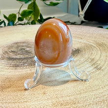 Load image into Gallery viewer, Carnelian Egg with Acrylic Stand

