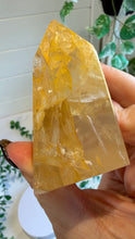 Load image into Gallery viewer, Golden Healer Freeform from Brazil
