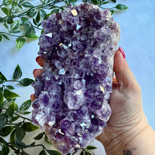Load image into Gallery viewer, Stunning Amethyst Cluster on Pink Amethyst Matrix from Brazil with Custom Gold Stand
