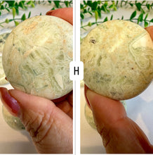 Load image into Gallery viewer, Green Maligano Jasper Round Palm Stones from Indonesia
