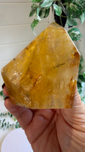 Load image into Gallery viewer, Golden Healer Freeform from Brazil
