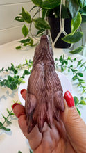 Load image into Gallery viewer, Mookaite Jasper Wolf Head with custom stand|Hand Carved
