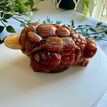 Load image into Gallery viewer, Carnelian Money Frog|Three Legged Money Toad
