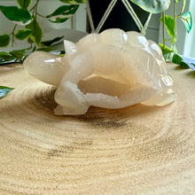 Load image into Gallery viewer, Druzy Agate Tortoise Carving|Hand Carved
