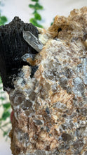 Load image into Gallery viewer, Black Tourmaline on Matrix with Quartz from Erongo
