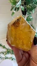 Load image into Gallery viewer, Golden Healer Freeform from Brazil
