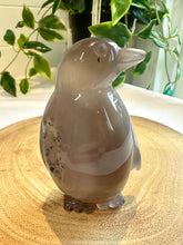 Load image into Gallery viewer, Druzy Agate Penguin Carving - Snow Flake
