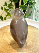 Load image into Gallery viewer, Druzy Agate Penguin Carving - Snow Flake
