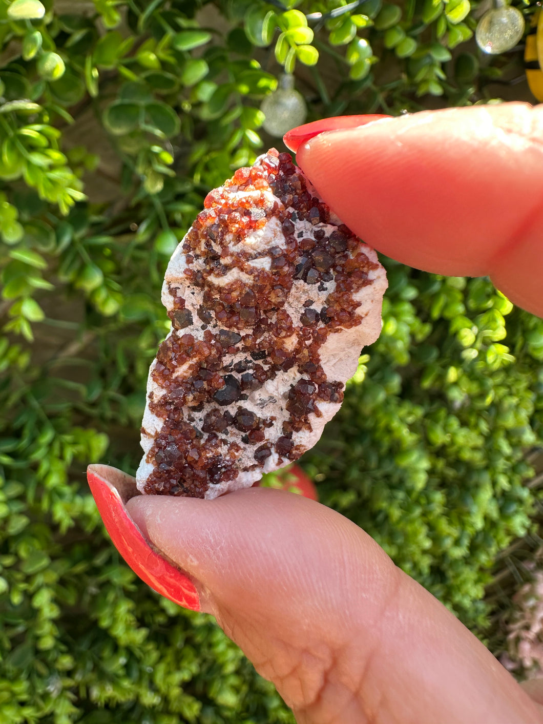 Spessartine Garnet on Feldspar Specimen