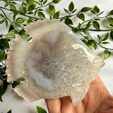 Load image into Gallery viewer, Druzy Agate Fish on Custom Gold Stand
