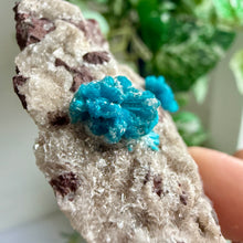 Load image into Gallery viewer, Blue Cavansite on Matrix from India
