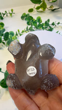 Load image into Gallery viewer, Druzy Agate Tortoise (Andy)
