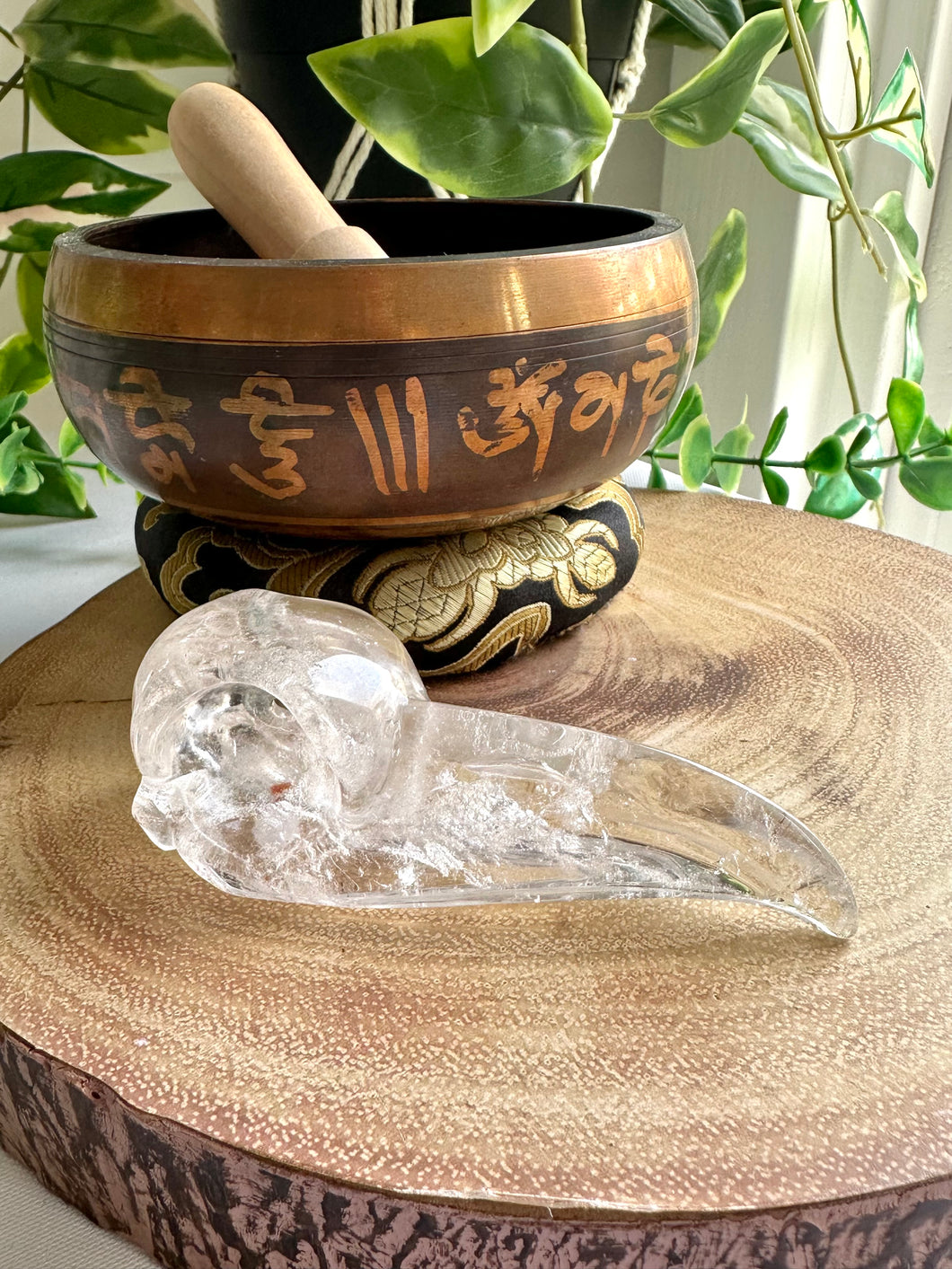 Clear Quartz Raven Skull Carving - Horis