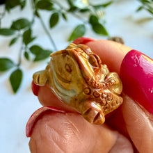Load image into Gallery viewer, Alashan Agate Money Frog Carving
