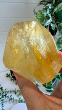 Load image into Gallery viewer, Golden Healer Freeform from Brazil
