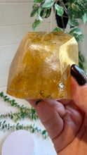 Load image into Gallery viewer, Golden Healer Freeform from Brazil
