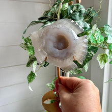 Load image into Gallery viewer, Druzy Agate Fish on Custom Gold Stand
