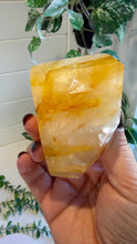 Load image into Gallery viewer, Golden Healer Freeform from Brazil
