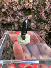 Load image into Gallery viewer, Moldavite Piece from Chlum, Czech Republic
